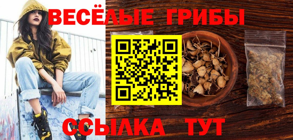 Камышин  Галлюциногенные грибы мухоморы  Вход с VPN 